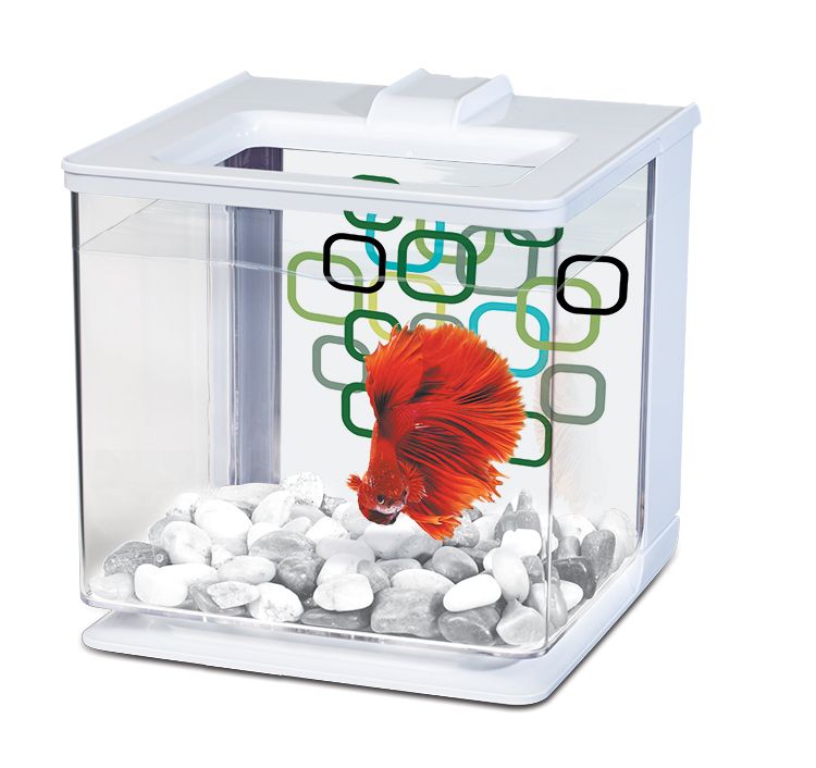 Aquarium équipé 20L Scalaire 40 blanc - Capac - Animal Valley