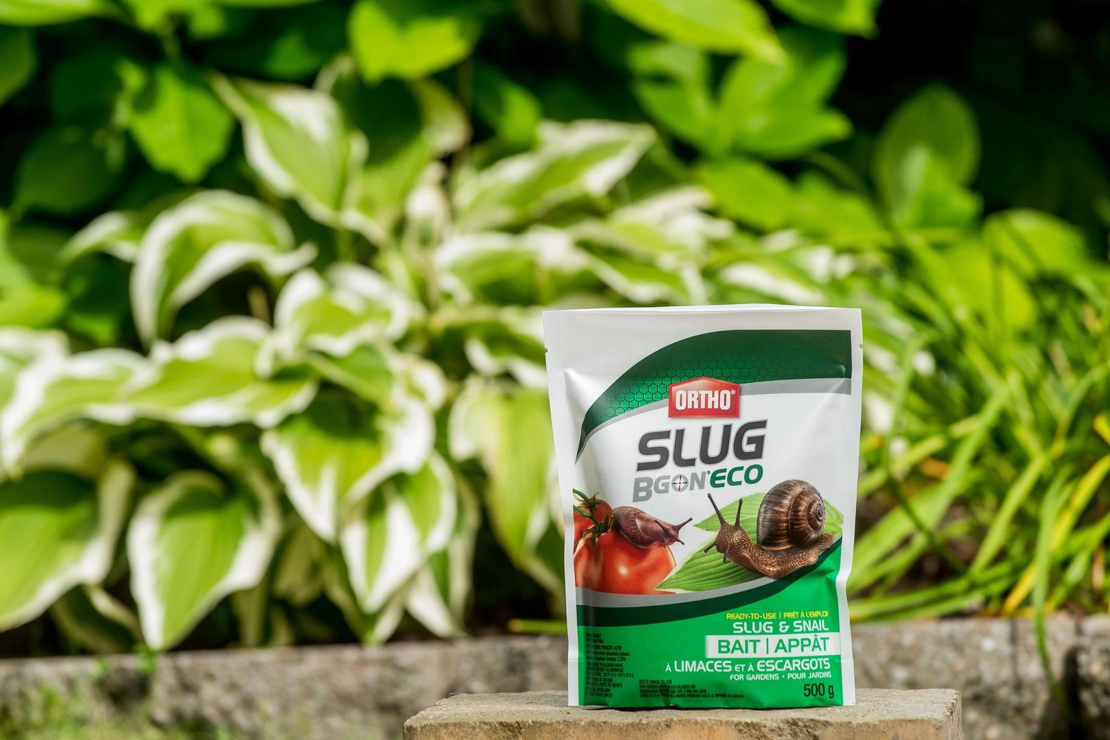 ORTHO® SLUG B GON® ECO SLUG AND SNAIL BAIT